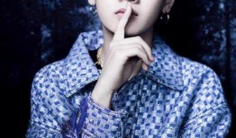 大鹏娱乐圈爆料,揭秘明星幕后故事